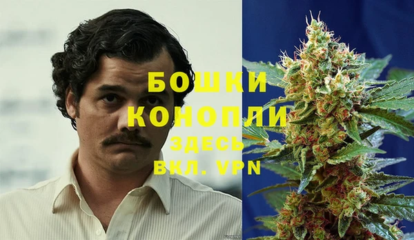гашик Белоозёрский